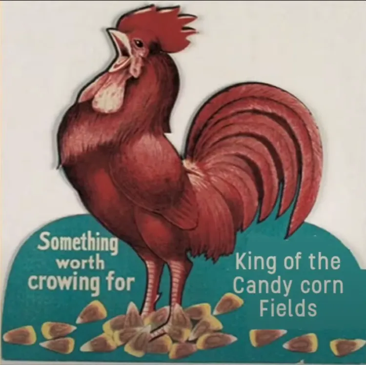 King of the candy corn